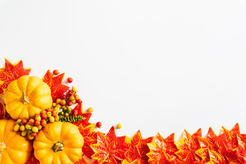 Autumn maple leaves and Pumpkin on white backgound. Thanksgiving day concept.