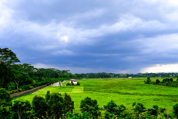 Naklejka premium Dramatic sky over the field