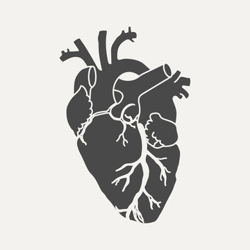Anatomical human heart - dark silhouette isolated on white background. Hand drawn sketch. Vector illustration.