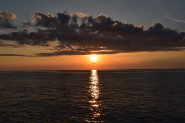 Fototapeta premium カモメと海