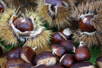 Composizione di castagne e ricci