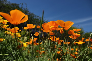 Nature's Perspective