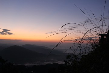 Nature and life