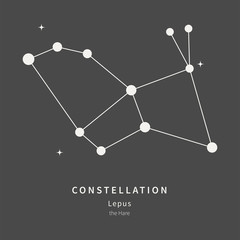 Obraz premium The Constellation Of Lepus. The Hare - linear icon. Vector illustration of the concept of astronomy.
