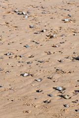 Pebbles in the Sand Texture