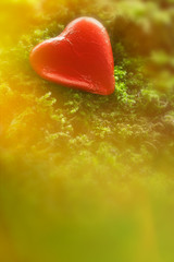 Chocolate heart in bright red foil wrapper on moss in magical light. Romantic background texture with plenty text or copy space.