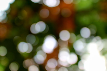 Obraz premium Green bokeh abstract design and blackground