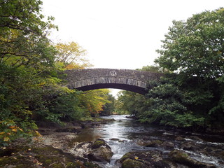 bridge over the river