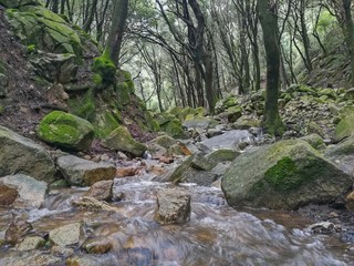 Naklejka na ściany i meble River on natural park Montseny. Catalonia