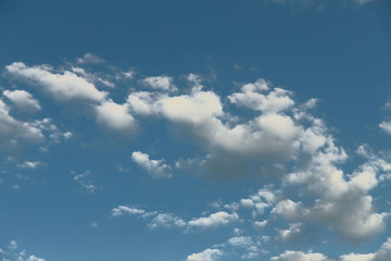 The background is natural. Blue sky and clouds. Cropped shot, isolated, close-up, blurred
