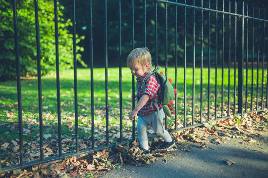 Toddler walking in park on autumn day