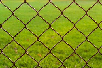 Fototapeta premium Iron net in Safety zone background. Rusty old wire mesh and blurry green lawn with sunrise or sunset lighting. Image for network connecting or restricted area or safety zone.
