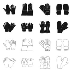 Isolated object of glove and winter sign. Collection of glove and equipment stock symbol for web.