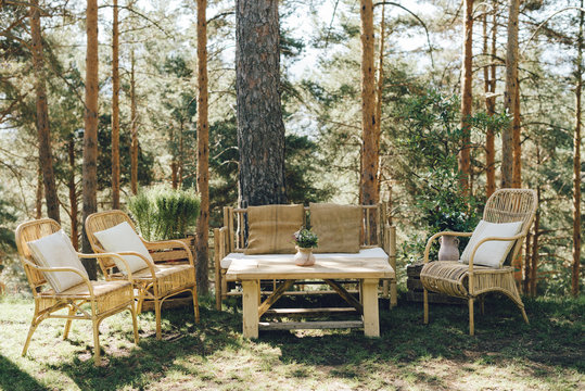 Decorative vintage wedding table, couch and chairs to rest in a pinetree forest