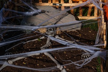Skelton in a halloween tema