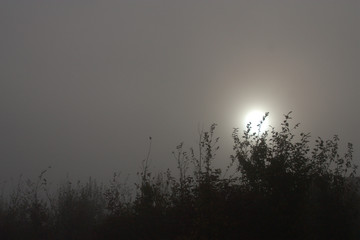 lever du jour dans la brume d'automne