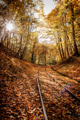 Railway in the autumn forest