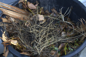 compost de végétaux, recyclage 