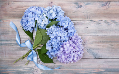 branches of blue hydrangea on wooden background