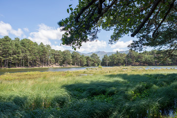 The bassa lake of oles in the Aran Valley