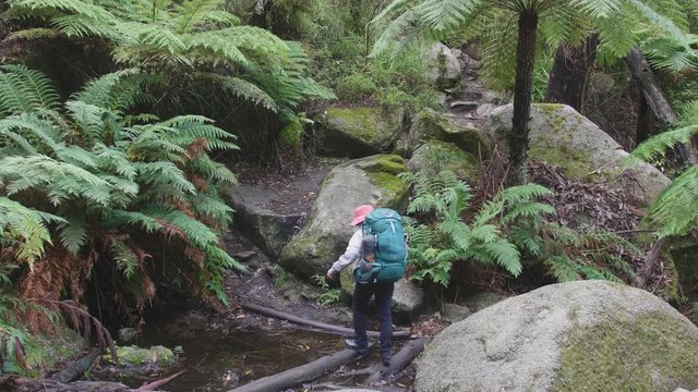 backpacker in forest