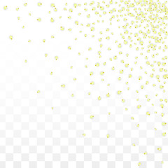 Vector Realistic Yellow Flowers Falling on Transparent Background.  Spring Romantic Flowers Illustration. Flying Petals. Sakura Spa Design. Blossom Confetti. Design Elements for Wedding Decoration.