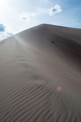 Sunshine and sand dunes - 228156445