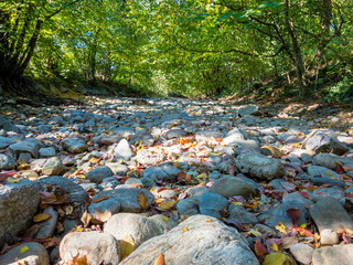 dry river bed