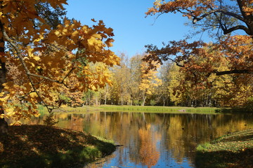 autumn landscape with lake and trees