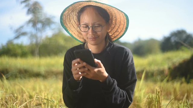 Young smart farmer using smartphone in her paddy field.
