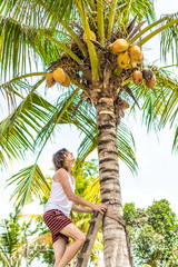 Young european man climbing on coconut palm. Bali island.