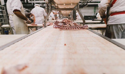 Workers at meet industry handle meat organizing packing shipping loading at meat factory.