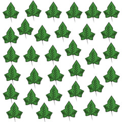 Leaf background pattern