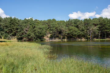 The bassa lake of oles in the Aran Valley