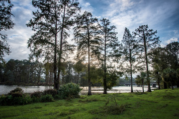 Sunrise after Hurricane Michael 