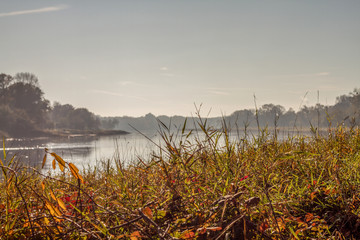Fototapeta na wymiar Herbst an der Elbe