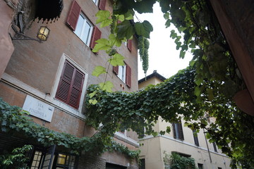 calle italiana ciudad roma