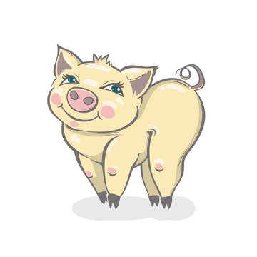 Cute pig. Vector illustration of a cartoon smiling pig.
