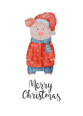 Christmas greeting card. Watercolor Pig in sweater holding Christmas card. 2019 Chinese New Year of...