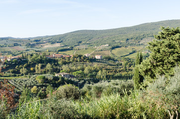 Fototapeta na wymiar Beautiful view in Tuscany, Italy