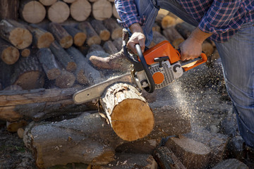 The worker works with a chainsaw. Chainsaw close up. Woodcutter saws tree with chainsaw on sawmill. Chainsaw in action cutting wood. Man cutting wood with saw, dust and movements.