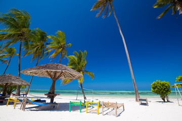 Zanzibar, landscape sea, palms beach
