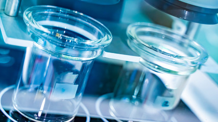 Testing Glass In Laboratory