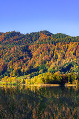 The joy of autumn colors in the Bavarian mountains.