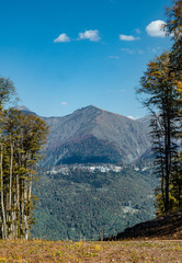 Autumn in the mountains of Krasnaya Polyana