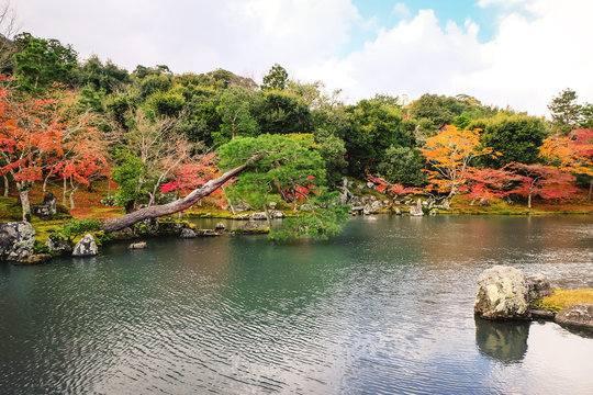 Tenryuji garden features a central pond surrounded by rocks, pine trees and the forest Arashiyama mountains in Autumn at Tenryuji Temple in Arashiyama, Kyoto Japan.