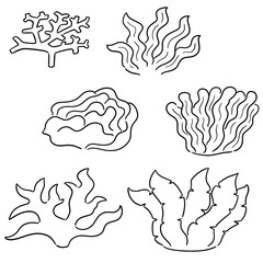vector set of coral and seaweed
