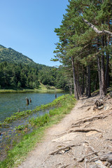 The bassa lake of oles in the Aran Valley