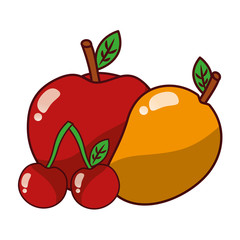 fruits fresh organic