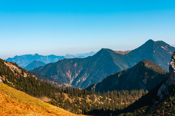 The joy of autumn colors in the Bavarian mountains.